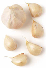 garlic.jpg