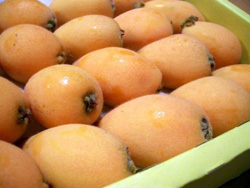 box-of-loquats.jpg