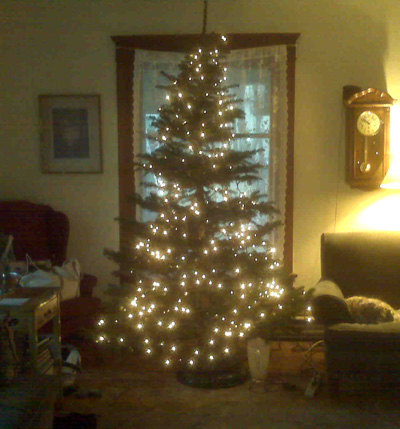 lit christmas tree