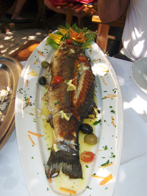 grilled-sea-bass-in-hvar