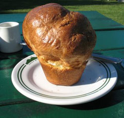 popover.jpg