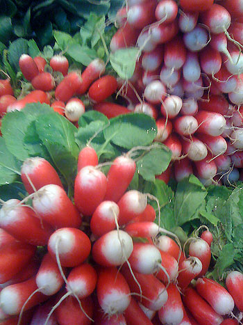 radishes