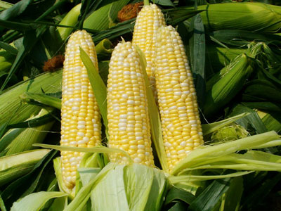 sweetcorn