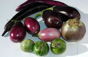 eggplants.jpg