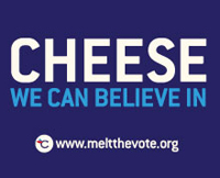 Melt the Vote