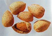 almond-nuts-in-shell.jpg