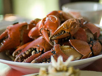 eating_crabs_02.jpg