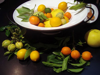 copia-blog-citrus-bowl.jpg