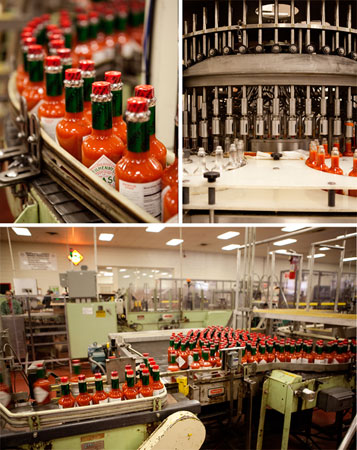 tabasco-production-line-550x