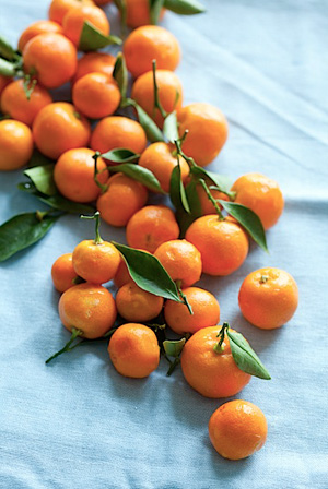 Calamondin-Marmalade