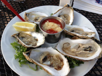 oysters