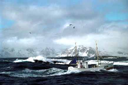 Trolling for Mackerel - Lucy Dahl