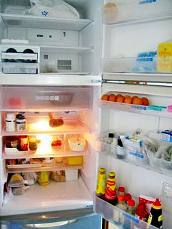 interiors_fridge.jpg