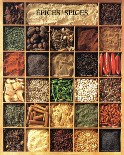 spices.jpg