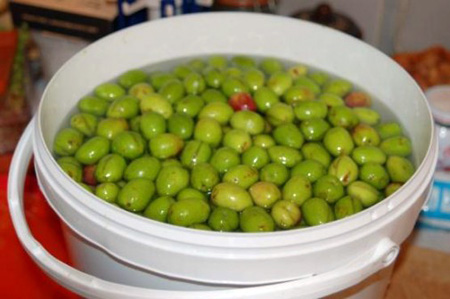 olivesbrining