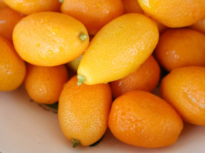 kumquat-cookies-blog-036A-1024x682