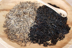 wild-rice-025.jpg