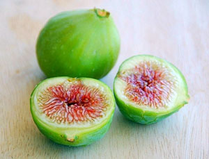 figs1.jpg