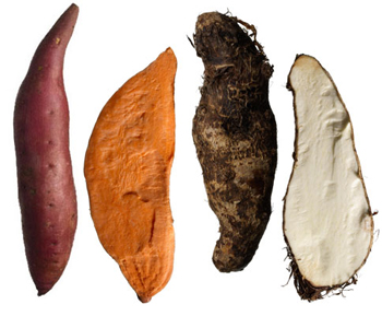 yam_vs_sweet_potato_h.jpg