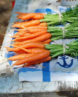 freshcarrots