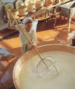 cheesemaking.jpg