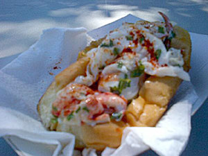 maine lobster roll