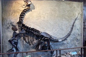 Utah's Dinosaur Bonanza
