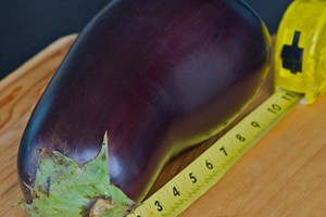 Super Size Me Eggplant