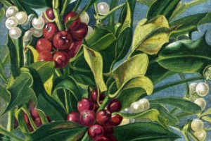 In Season - Mistletoe