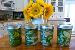Cucumber and Pepper Pickles with Whole Spices