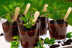 Potted Chocolate-Mint Puddings