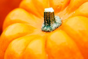 Pumpkin: It's Not Just for Pie