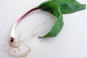 What To Do With Ramps