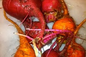 Beauteous Beets