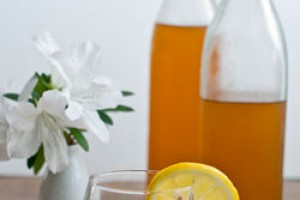 Homemade Kombucha