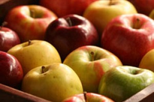 Time for Apples