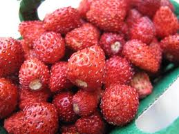 wildstawberries.jpg
