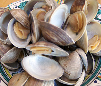 clams2.jpg