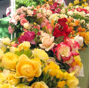 kendallgardenflowers.jpg