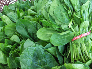 spinachfarmersmkt.jpg