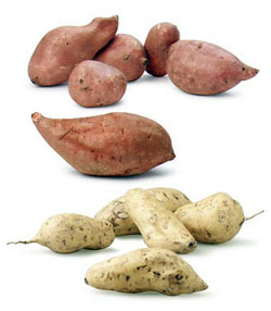 sweet_potato-719442.jpg