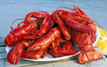 lobsters_sm.jpg