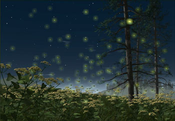 fireflies.jpg