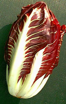 radicchio-di-treviso.jpg