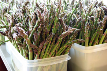 asparagus-pickling-007b-1024x682