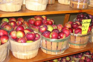 Finding Solace in Tuscan Torta di Mele