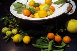 Winter Citrus