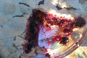 Everything But the Kitchen Sink Fruit Pie