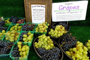 Falling for Grapes in Salad