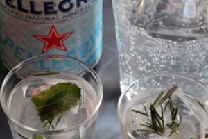 Herbal Ice Cubes and Sparkling Water